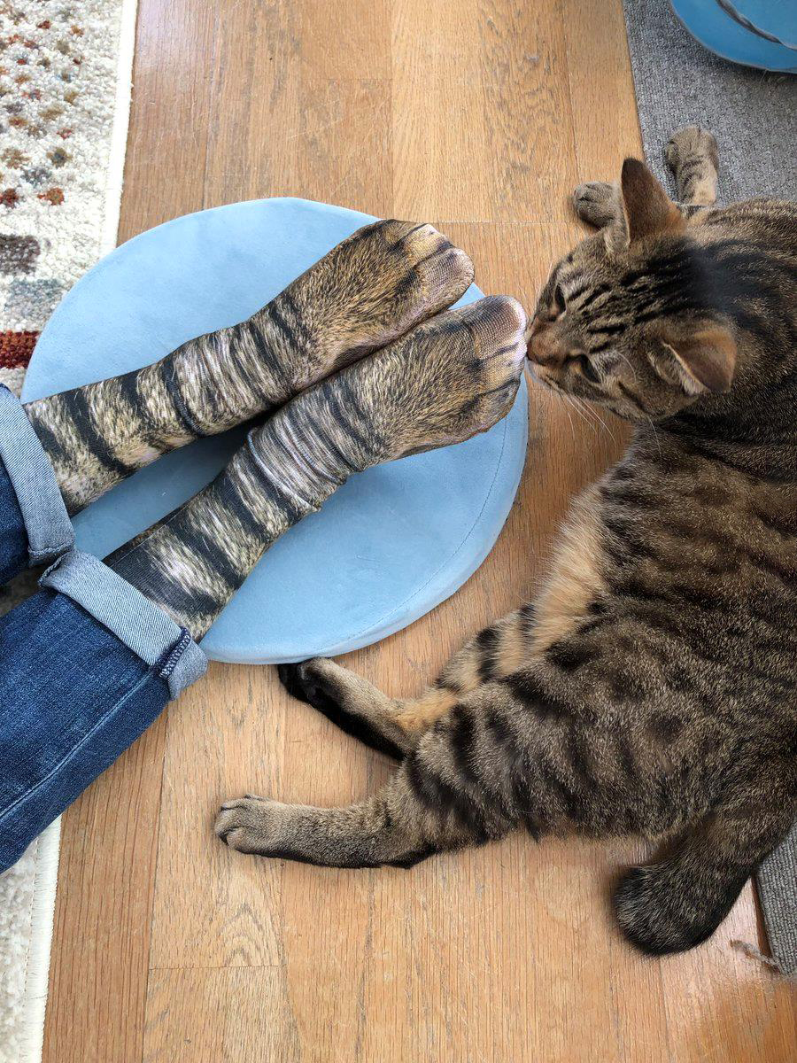 日本人抢翻！3D式还原猫脚脚的「猫掌袜」　家里喵喵看到也困惑了～插图4